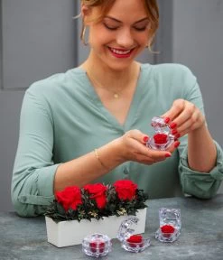 Longlife-Rose In Juwelenbox, Ca. Ø3,5 Cm -Garten & Außenbereich 8167041 WE MO 001 LonglifeArrangementElenRot