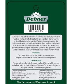 Schmetterlingsorchidee - Phalaenopsis Cultivars 'Blue Wonder', Kaskade -Garten & Außenbereich 8254815 PhalaenopsisBlueWonder Etikett 2