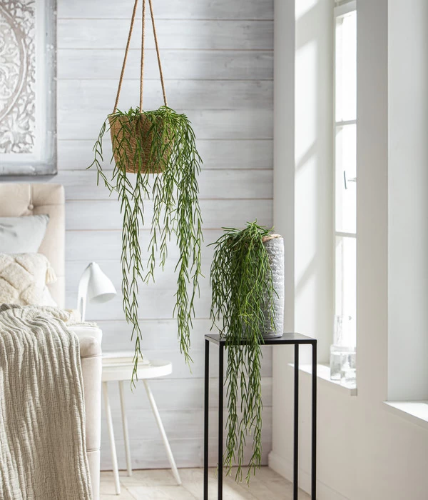 Dehner Seegras-Ampel Igmar 2 Dehner Seegras-Ampel Igmar – Bild 2