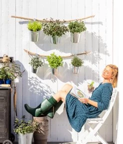 Dehner Gourmet Garten Strauchbasilikum 'Magic Blue' -Garten & Außenbereich 8610123 WE MO 001 Oregano Kraeuter 2