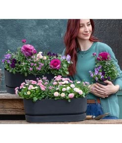 Ranunkel, Verschiedene Farben -Garten & Außenbereich 8809857 WE MO 001 FruehlingRosa