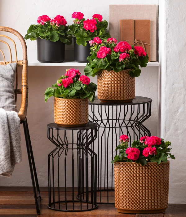 Dehner Keramik-Jardiniere Thies, Oval, Gelb, Ca. B26/H25/T12 Cm 4 Dehner Keramik-Jardiniere Thies, Oval, Gelb, Ca. B26/H25/T12 Cm – Bild 4