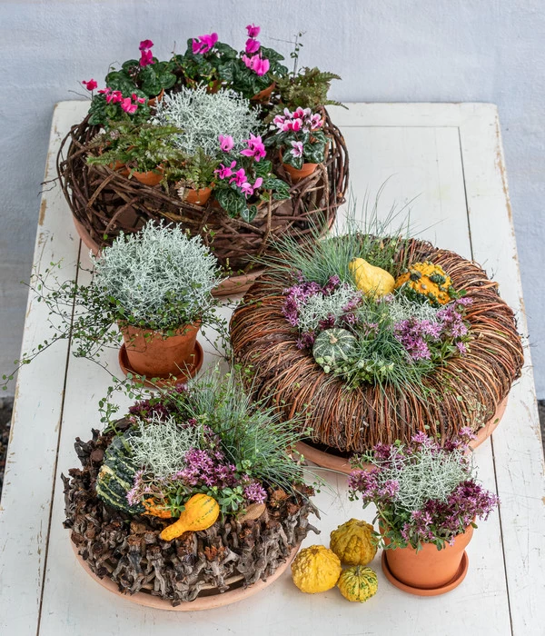 Dehner Kranz Bold, Ca. Ø38 Cm 2 Dehner Kranz Bold, Ca. Ø38 Cm – Bild 2