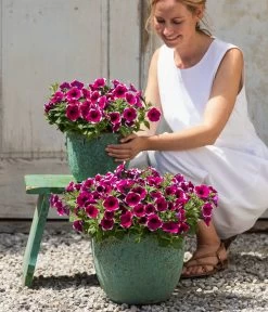 Dehner Keramik-Topf Rhodos, Rund, Blau-grün 10 Dehner Keramik-Topf Rhodos, Rund, Blau-grün -Garten & Außenbereich 8824021 4273900 4273918 4273934 WE MO 001 HaengepetuniePicoteeT12 CrossSellTeaser