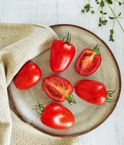 Bioland Eiertomate -Garten & Außenbereich 8831463 WE MO 001 BiolandEiertomate