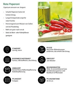 Rote Peperoni, Scharf -Garten & Außenbereich 8831687 WE IG 001 RotePeperoni