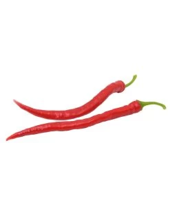 Milde Peperoni -Garten & Außenbereich 8831695 WE FS 002 mildepeperoni