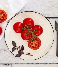 Bioland Buschtomate 5 Bioland Buschtomate -Garten & Außenbereich 8831968 WE MO 001 BiolandBuschtomate