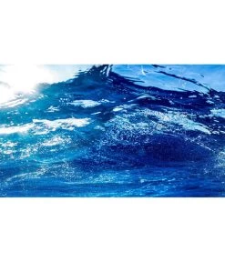 Hobby® Aquarium Rückwand Ocean/Ruby Lake