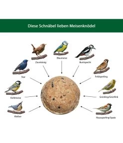 Dehner Natura Beeren-Knödel, Ohne Netz, 100 Stk. Je 100 G -Garten & Außenbereich WE IG 001 DehnerNaturaWelcherVogelfrisstMeisenknoedel