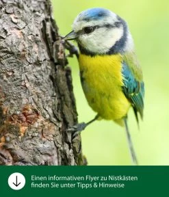 Dehner Natura Nistkasten CLiCK, Ca. B17/H22,5/T12 Cm -Garten & Außenbereich WE IG FlyergrafikDehnerNaturaNistkaesten 3