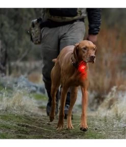 RUFFWEAR® Hunde-Sicherheitsleuchte THE BEACON™ -Garten & Außenbereich X004449468 WE M 002 RUFFWEARHundeSicherheitsleuchteTHEBEACON