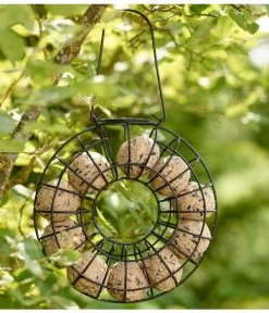 Dehner Natura Befüllter Meisenknödelring -Garten & Außenbereich X005458310 BildFS 002 DehnerNaturaMeisenknoedelringFruehling